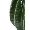Vaso Cactus Ball cm ø 23,5x24,5