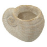 Vaso Shell Sand -a- cm 33x19x23 (apertura cm ø 13)