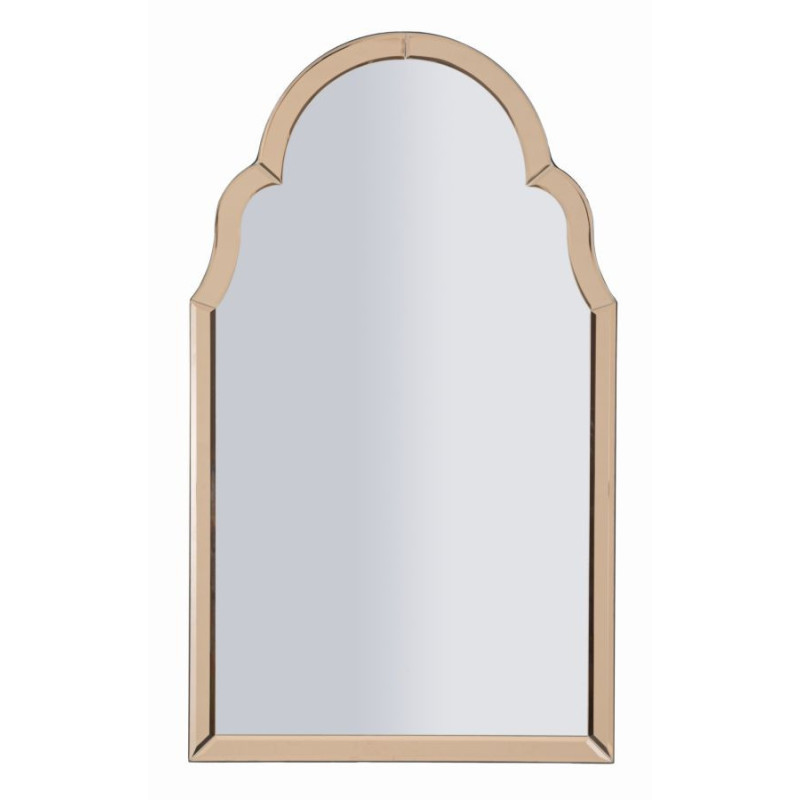 Specchio Da Muro Tangeri Rosa cm 47x1x80 (misura Specchio cm 41x74)