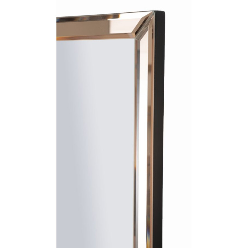 Specchio Da Muro Berlino Rosa cm 55x2x150 (misura Specchio cm 49x143,5)