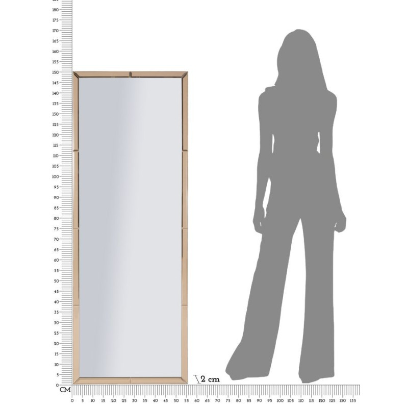 Specchio Da Muro Berlino Rosa cm 55x2x150 (misura Specchio cm 49x143,5)