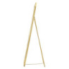 Specchio Da Terra Gold cm 46x2-57x153 (misura Specchio cm 43x150)