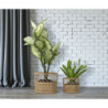 Panama Coppia 30x25 cm | Fioriere e Vasi | Levante Shop