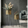 Porta Vasi Drak Coppia cm 21x20x46-18x18x32