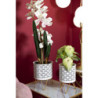 Carly Coppia 16x20 cm | Fioriere e Vasi | Levante Shop