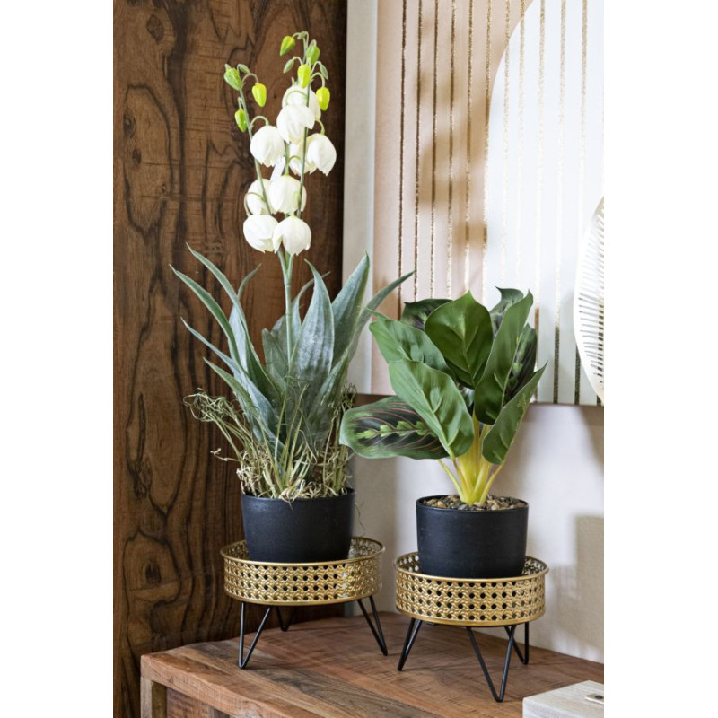 Bossy Coppia 20.5x13 cm | Fioriere e Vasi | Levante Shop