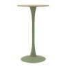 Tavolo Bar Alaska Verde cm ø 60x106