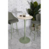 Tavolo Bar Alaska Verde cm ø 60x106