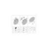 Sedia A Dondolo Ibiza Verde cm 66x88x80 (altezza Seduta cm 38)