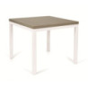 Tavolo allungabile Monster 90x90 colore bianco e piano larice grigio