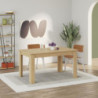 Tavolo allungabile Megaron colore rovere 120x80 cm.