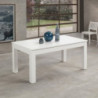 Tavolo allungabile Lipsia 160x90 in bianco frassinato