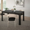 Tavolo allungabile Mono Core con allunga centrale 160x72.7x90.4 cm colore nero