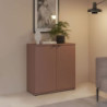 Mobile multiuso Segno con due ante L 80 cm. colore terracotta