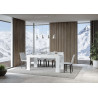 Tavolo allungabile 200/460x90 cm Roxell Premium
