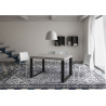 Tavolo allungabile 120/380x90 cm Tecno telaio Antracite