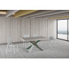 Tavolo allungabile 160/420x90 cm Volantis Premium telaio Multicolore 4/A