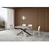 Tavolo allungabile 120/380x90 cm Volantis Premium telaio Multicolore 4/C
