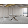 Tavolo allungabile 160/420x90 cm Volantis Premium telaio Multicolore 4/C