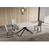 Tavolo allungabile 120/224x90 cm Niket telaio Antracite