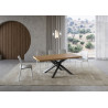 Tavolo fisso 180x90 cm Versalux scortecciato telaio Antracite
