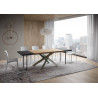 Tavolo allungabile 160/260x90 cm Versalux scortecciato telaio Multicolore 4/A