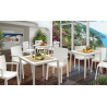 Set 4 sedie Capri Bistrot 3 colori 48 X53X83