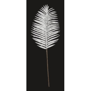 Foglia palma bianco 71x24cm