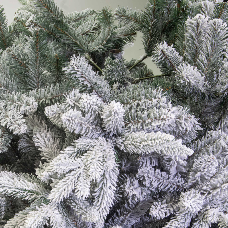 Albero Rochebrune verde innevato 2003 rami cm ø140h240