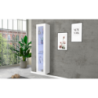 Vetrina Maruska – 1 anta – 40x180x30 – Bianco Lucido