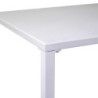 Tavolo Metallo New Elma Gambe Smontate Bianco Rettangolare Cm 140x70h75