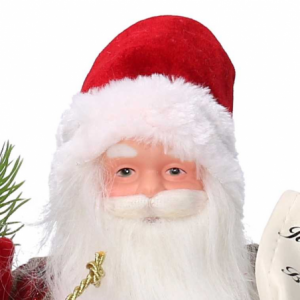 Zoom Babbo natale tessuto rosso con lista cmh30
