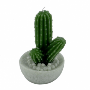 Candela cactus verde tondo cmø10,5h17
