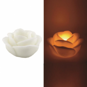 Zoom Candela led rosa bianco fontana cmÃ¸32h20