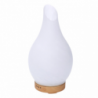 Diffusore vetro con spina cmÃ¸13,2h24,8