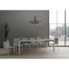 Tavolo allungabile 90x160/264 cm Impero Iron telaio Grigio