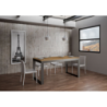 Tavolo allungabile 90x180/440 cm Tecno Evolution telaio Antracite