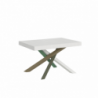 Tavolo allungabile 80x120/204 cm Volantis telaio gambe 4 colori (A)