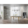 Tavolo allungabile 90x160/420 cm Karamay Evolution telaio Oro