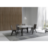 Tavolo allungabile 80x120/204 cm Flame telaio Antracite