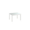 Tavolo Allungabile 120/175/230 /290/350 x 83 cm Executive 83cm X 120/175/230 /290/350cm H 75cm Stones
