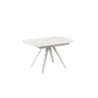 Tavolo allungabile con top in ceramica Gambe in metallo verniciato Allunghe interne Kyoto 140 90cm X 140-200cm H 75cm Stones