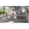 Tavolo allungabile con top in vetro Gambe in metallo verniciato Allunghe interne Frame 80cm X 120-170cm H 75cm Stones