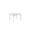 Tavolo allungabile con top in vetro Gambe in metallo verniciato Allunghe interne Frame 80cm X 120-170cm H 75cm Stones