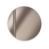 Specchio da parete con vetro finitura Bronzo Struttura in metallo Coin Stones