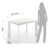 Tavolo Allungabile Blade A L127 H13 P87 Cm