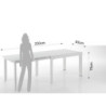 Tavolo Allungabile Long - White L128 H16 P90 Cm
