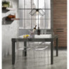 Tavolo Allungabile Long - Grey L128 H16 P90 Cm