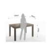 Tavolo Allungabile Long - Tortora L128 H16 P90 Cm