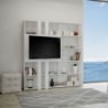 Composizione Libreria Kato 6R 2 fianchi 2 fasce lunghe 2 fasce corte 2 fasce medie pannello TV